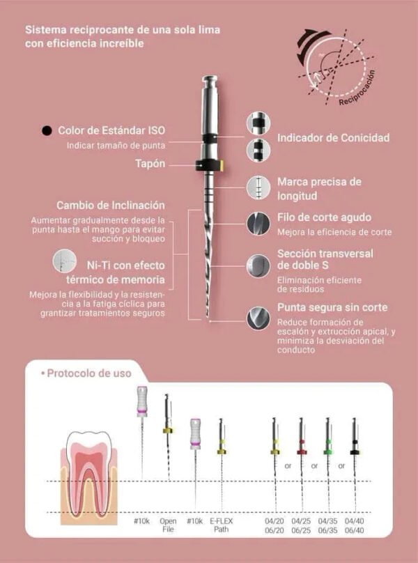 e-flex-rec-04 Limas Reciprocantes Endodoncia Eighteeth E-flex Rec